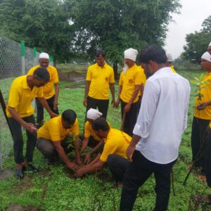 म्हारोळात श्रीराम प्रभू जानकी शेतकरी गटा'चा वृक्ष लागवडीचा यलगार १
